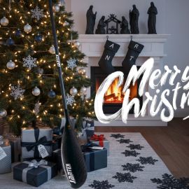 MERRY CHRISTMAS AND A HAPPY NEW YEAR 2026