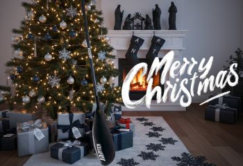 MERRY CHRISTMAS AND A HAPPY NEW YEAR 2026